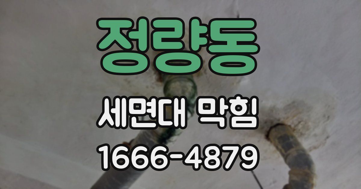 정량동 세면대 막힘