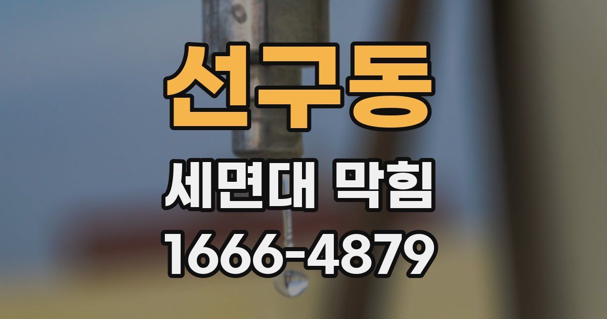 선구동 세면대 막힘