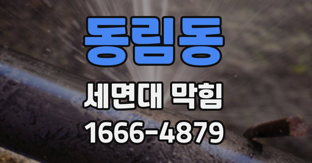 동림동 세면대 막힘