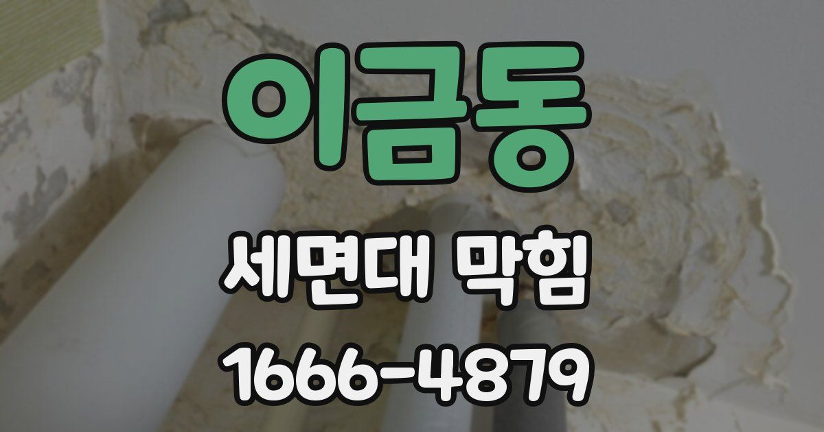 이금동 세면대 막힘