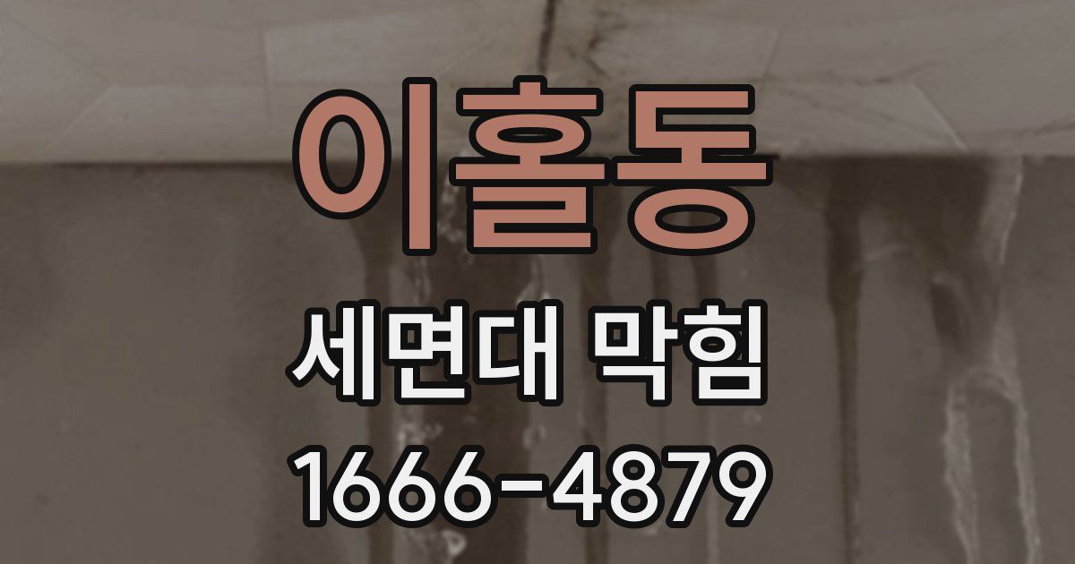 이홀동 세면대 막힘