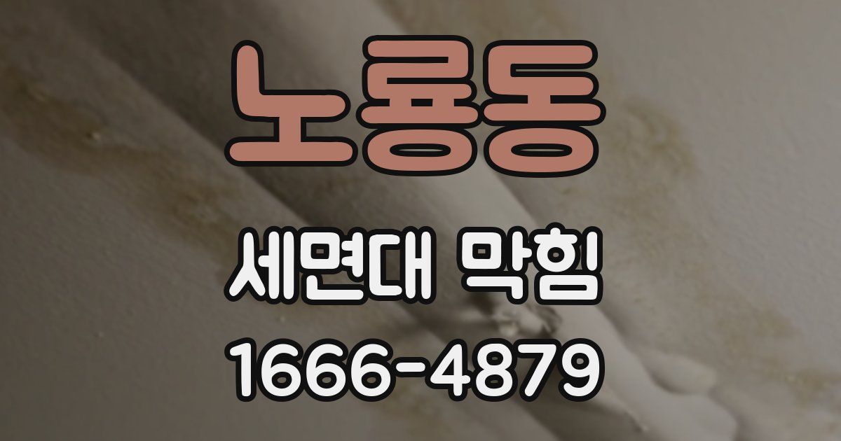 노룡동 세면대 막힘