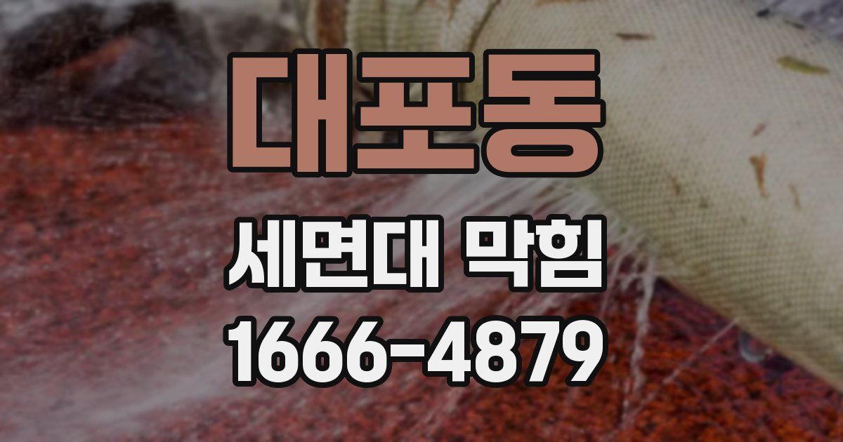 대포동 세면대 막힘