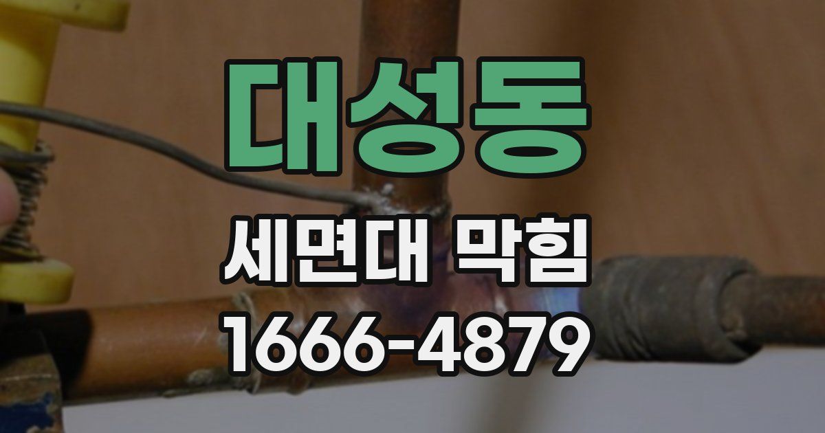 대성동 세면대 막힘