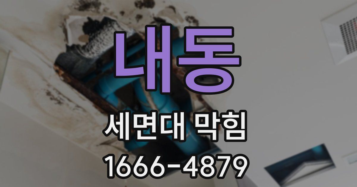 내동 세면대 막힘