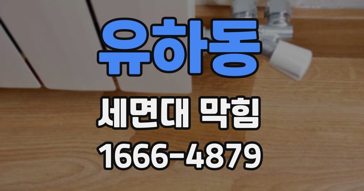 유하동 세면대 막힘