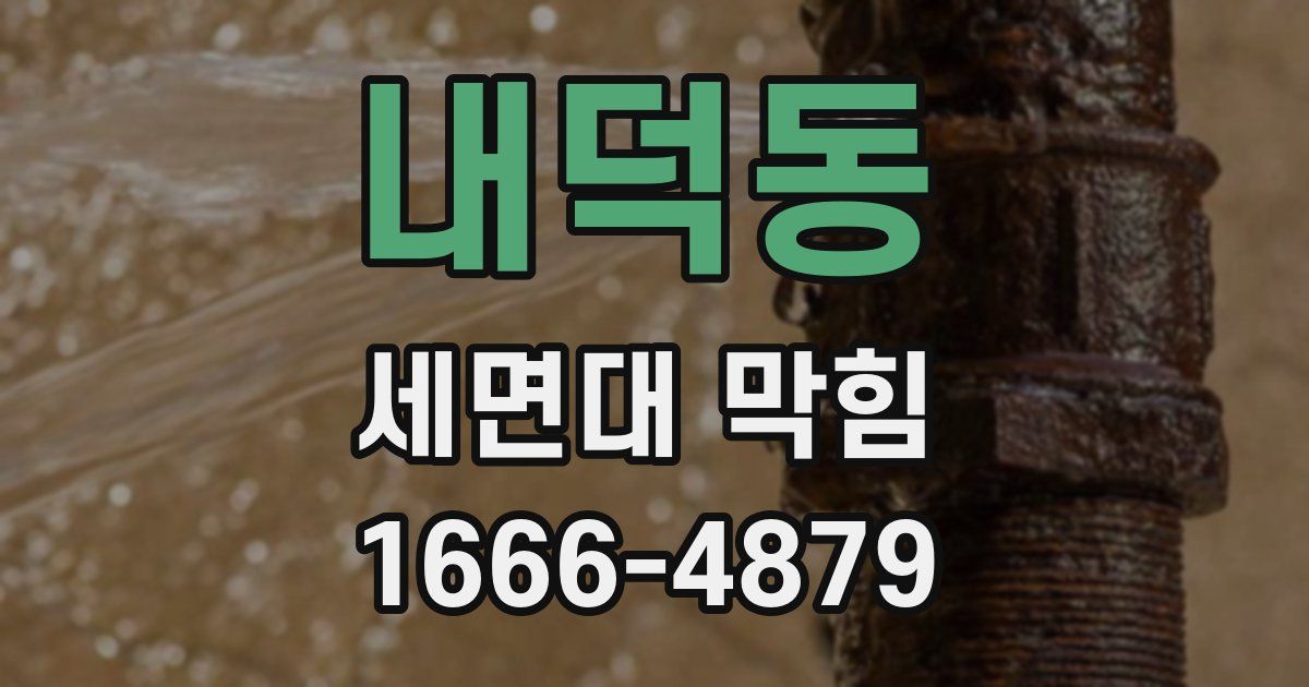 내덕동 세면대 막힘