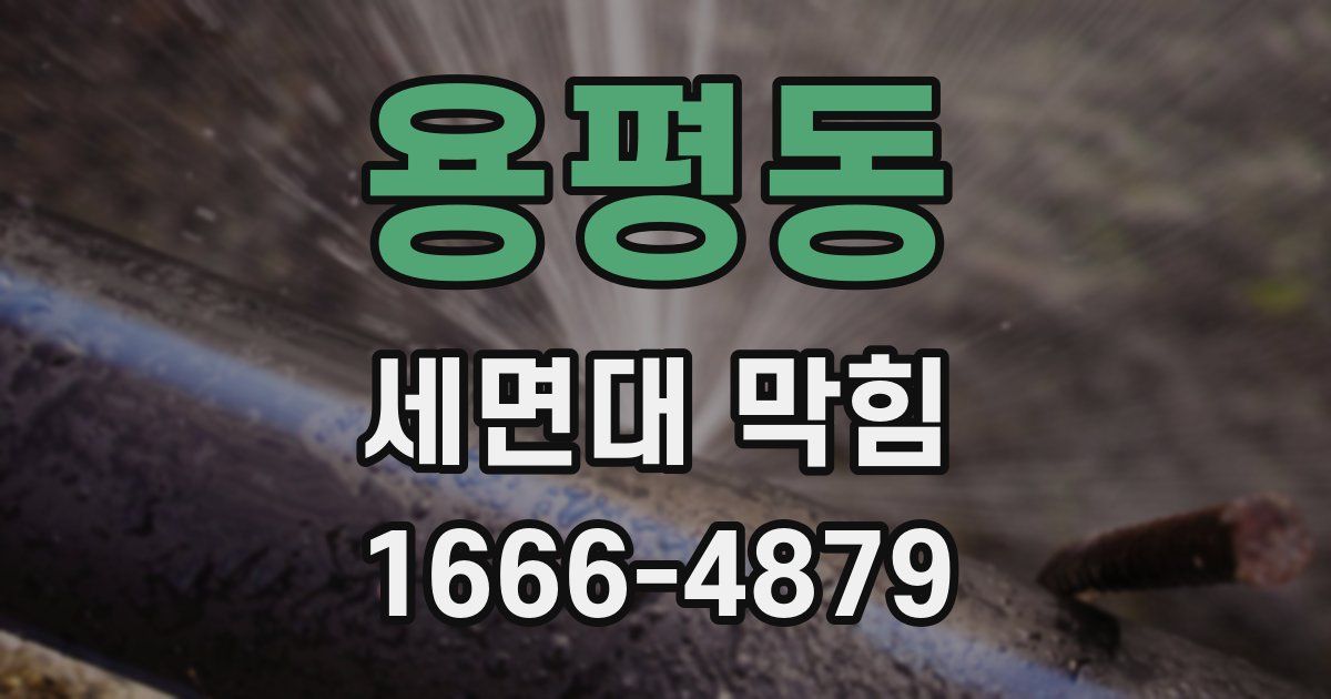 용평동 세면대 막힘