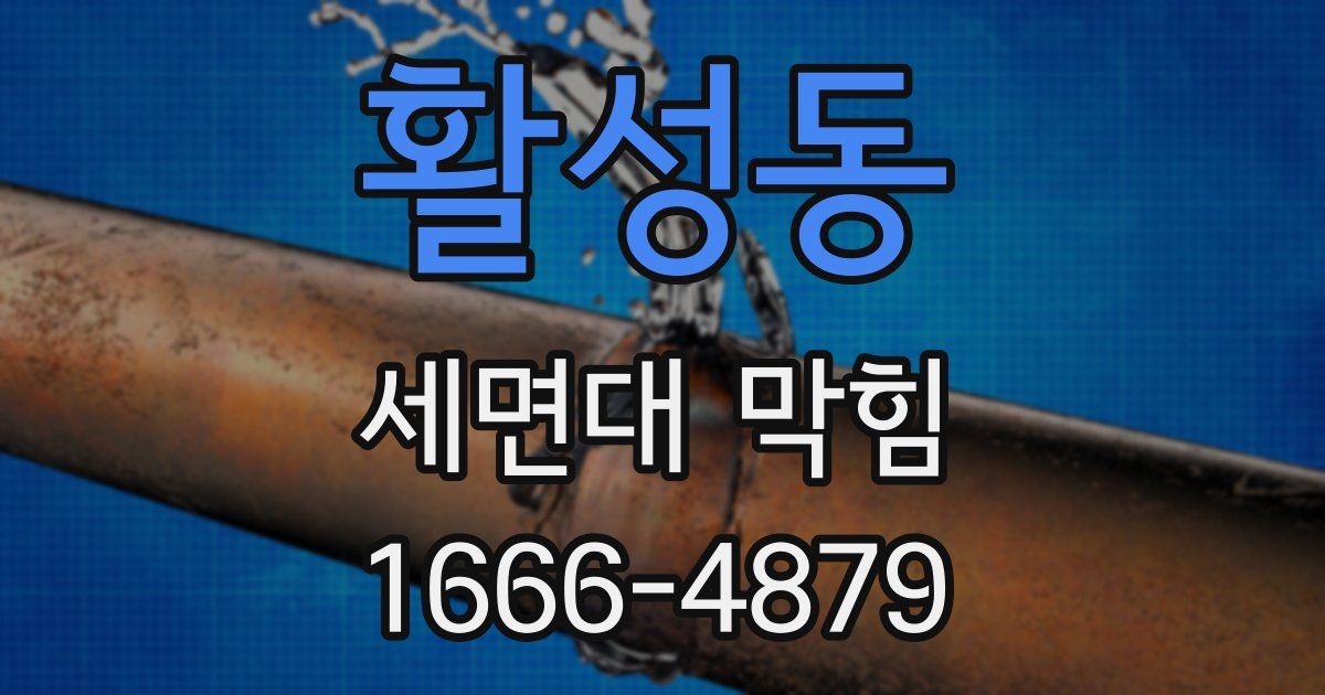 활성동 세면대 막힘