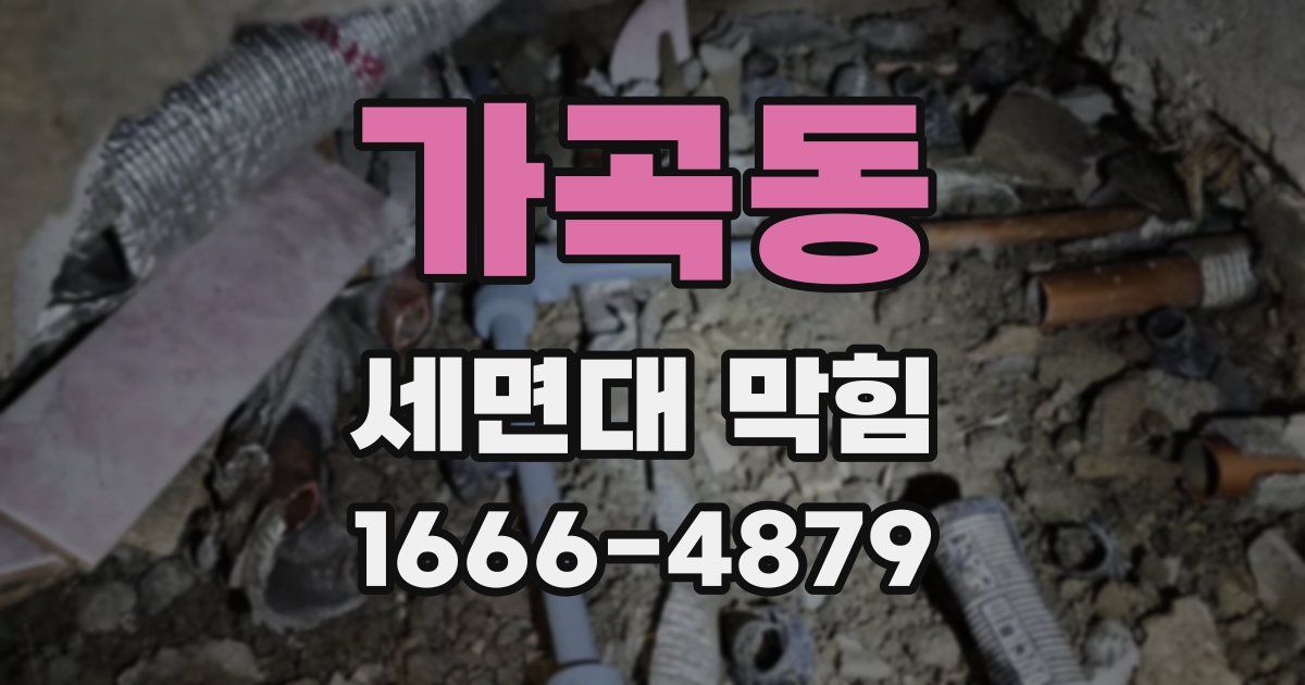 가곡동 세면대 막힘