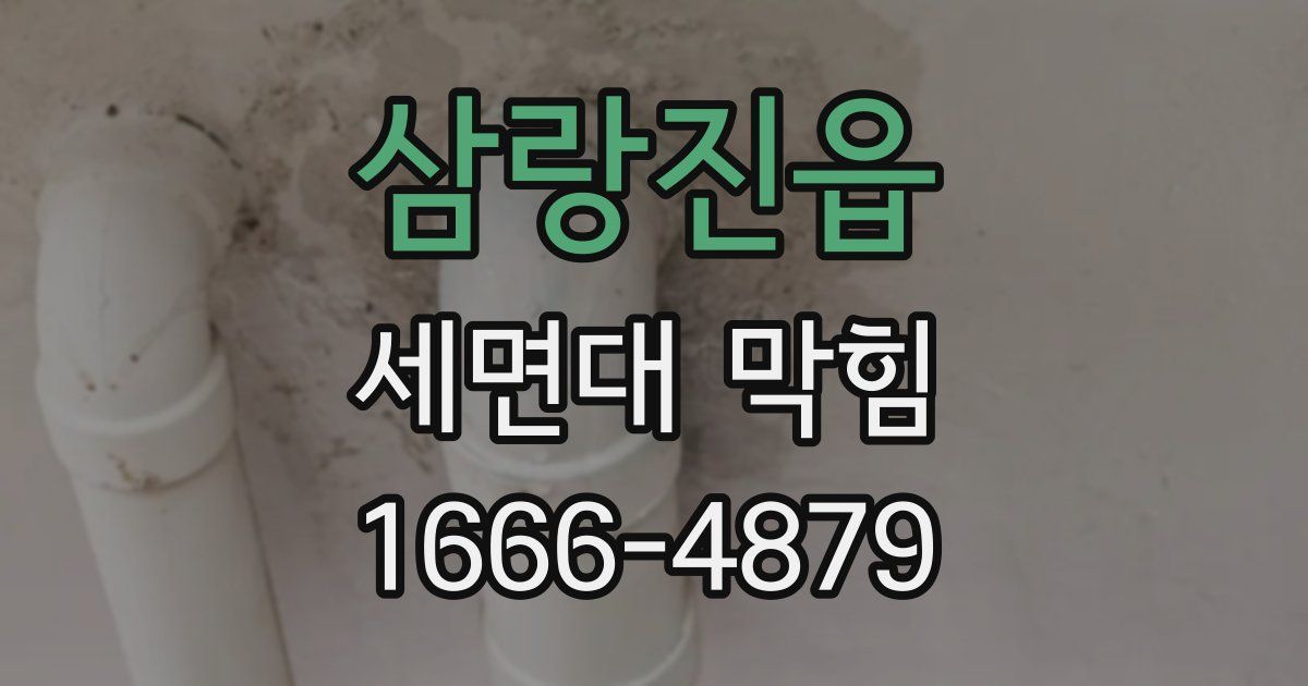삼랑진읍 세면대 막힘