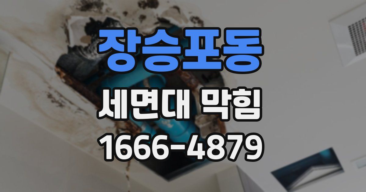 장승포동 세면대 막힘