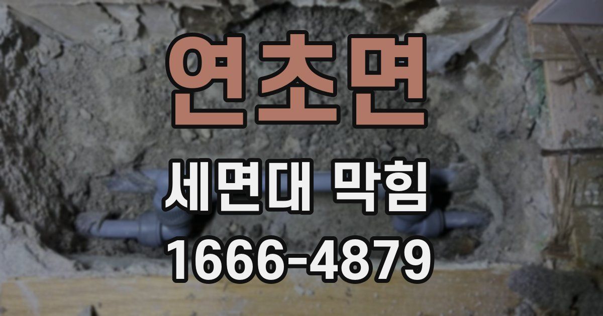 연초면 세면대 막힘