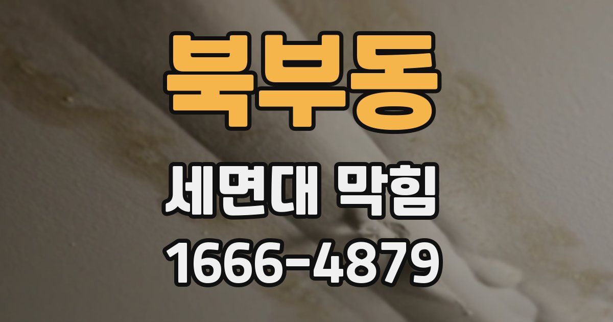 북부동 세면대 막힘