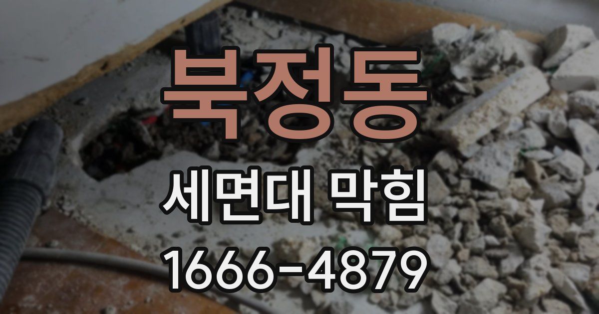 북정동 세면대 막힘