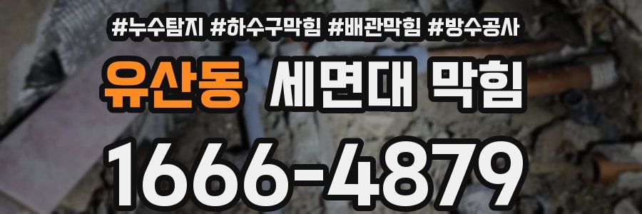 유산동 세면대 막힘