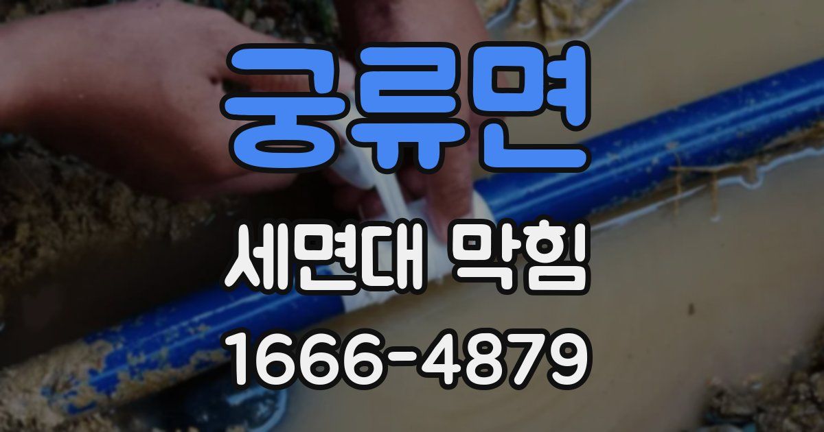 궁류면 세면대 막힘