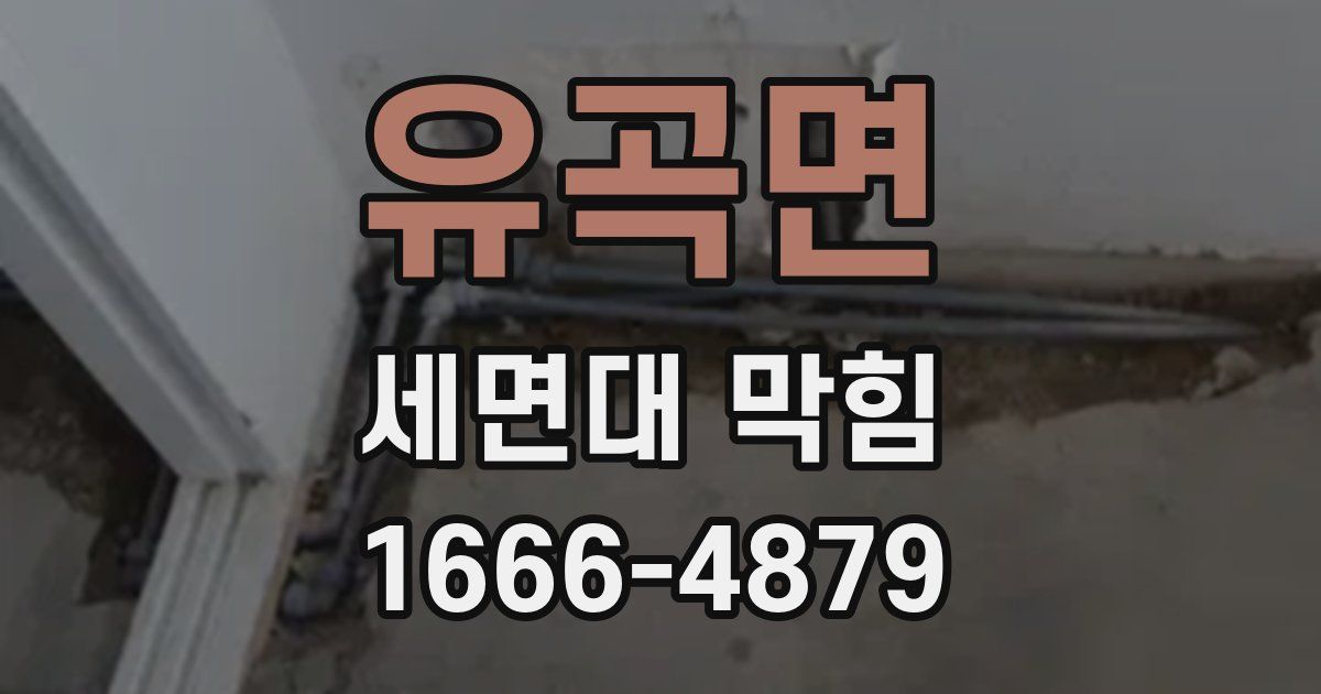 유곡면 세면대 막힘