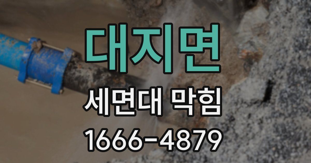 대지면 세면대 막힘