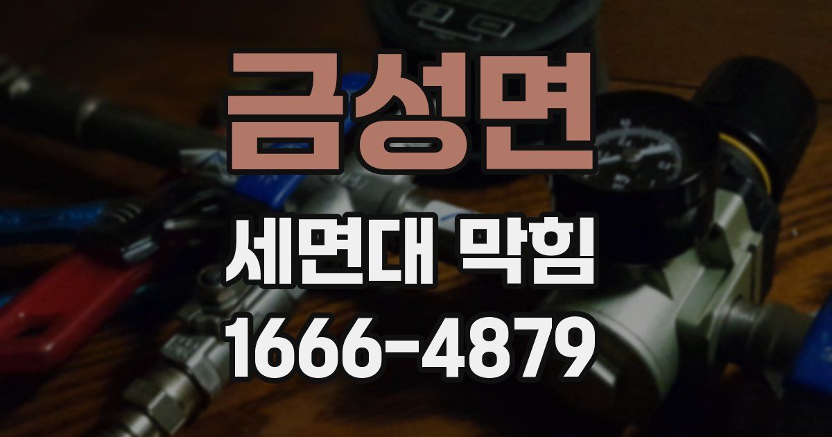 금성면 세면대 막힘