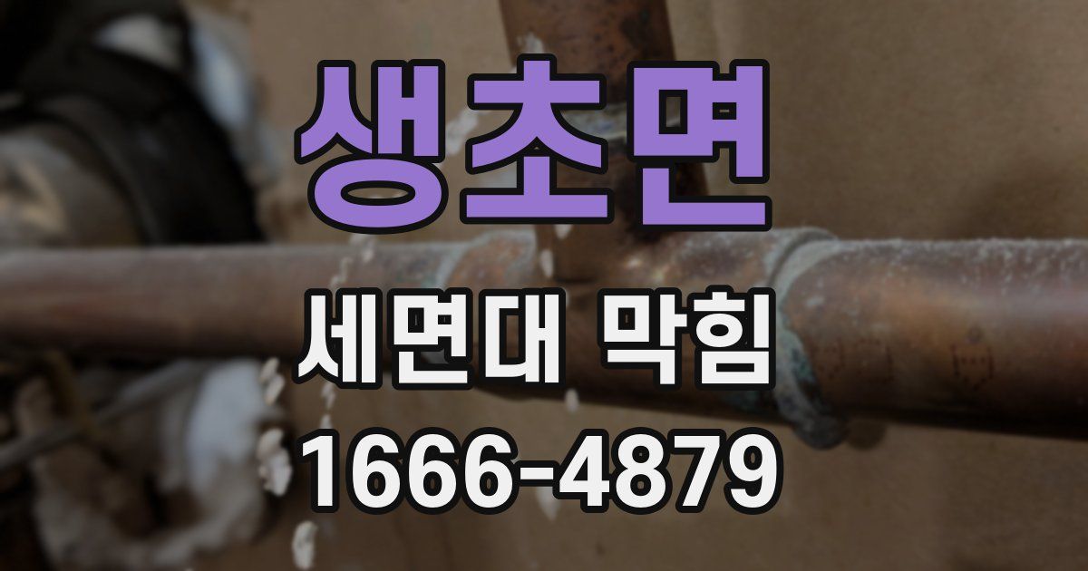 생초면 세면대 막힘