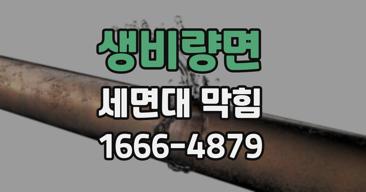 생비량면 세면대 막힘
