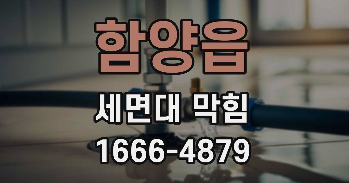 함양읍 세면대 막힘