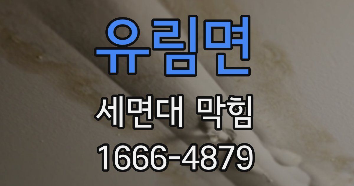 유림면 세면대 막힘
