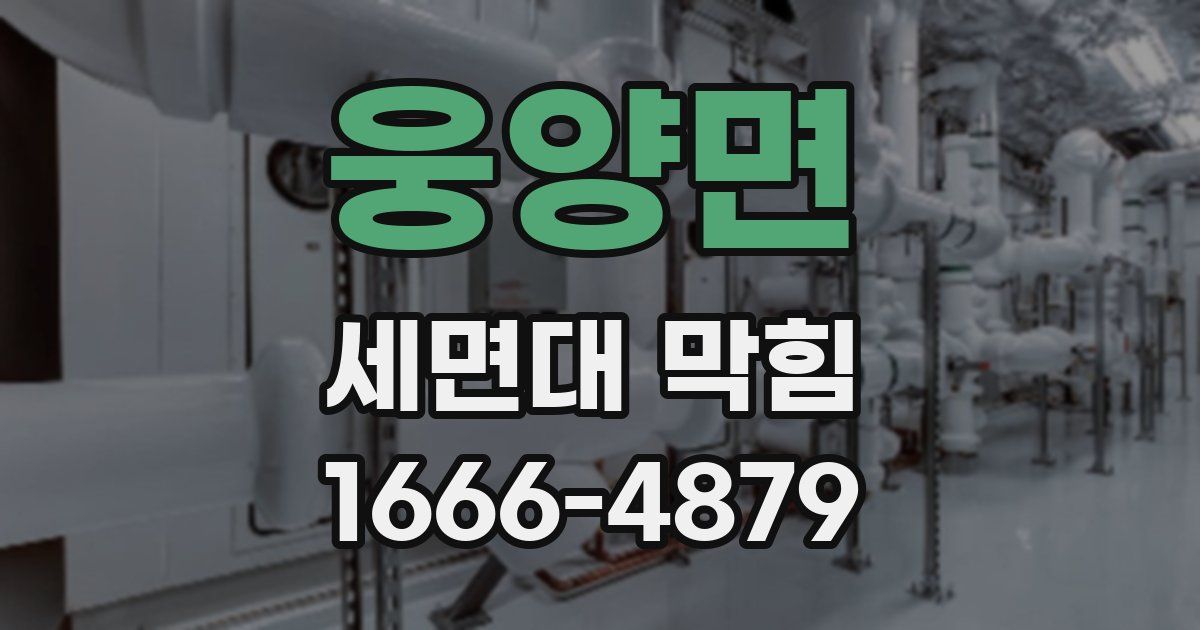 웅양면 세면대 막힘