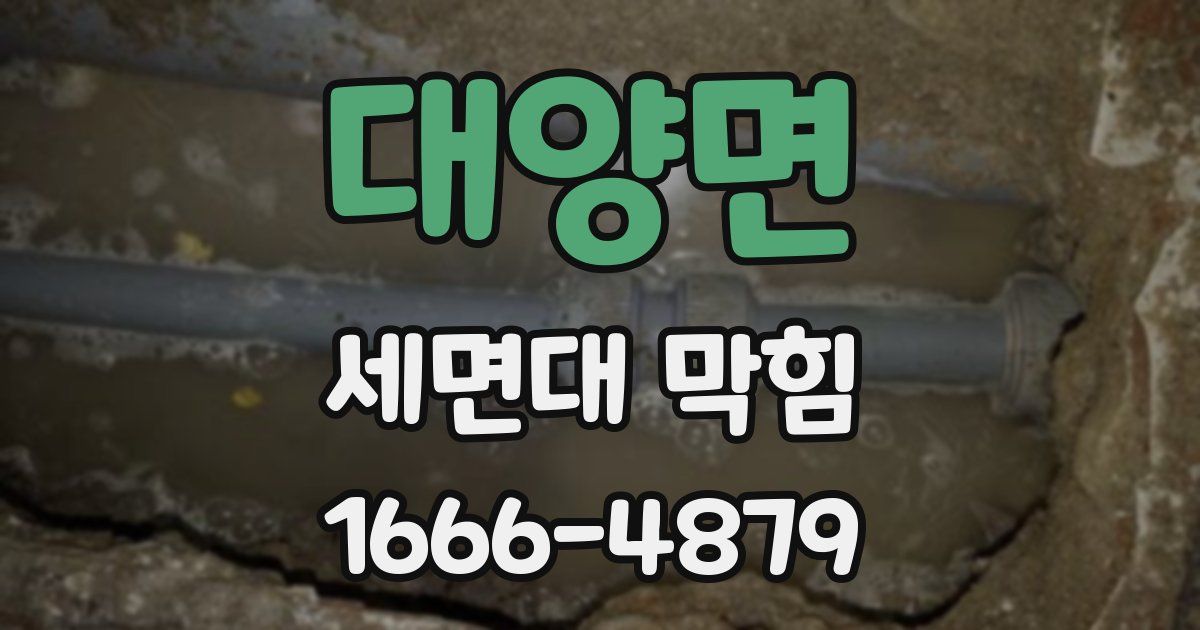 대양면 세면대 막힘