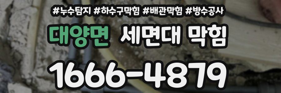 대양면 세면대 막힘
