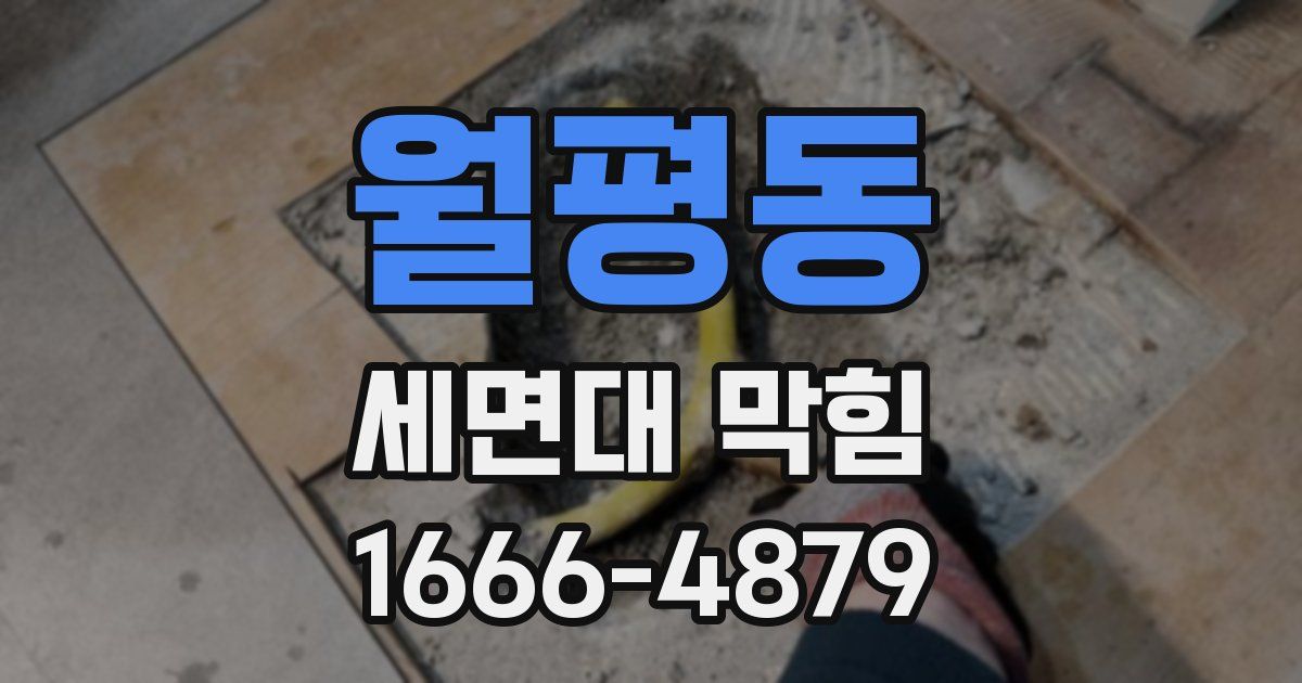 월평동 세면대 막힘