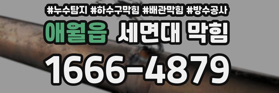 애월읍 세면대 막힘