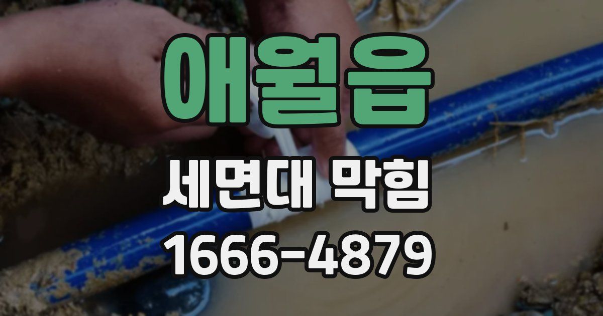 애월읍 세면대 막힘