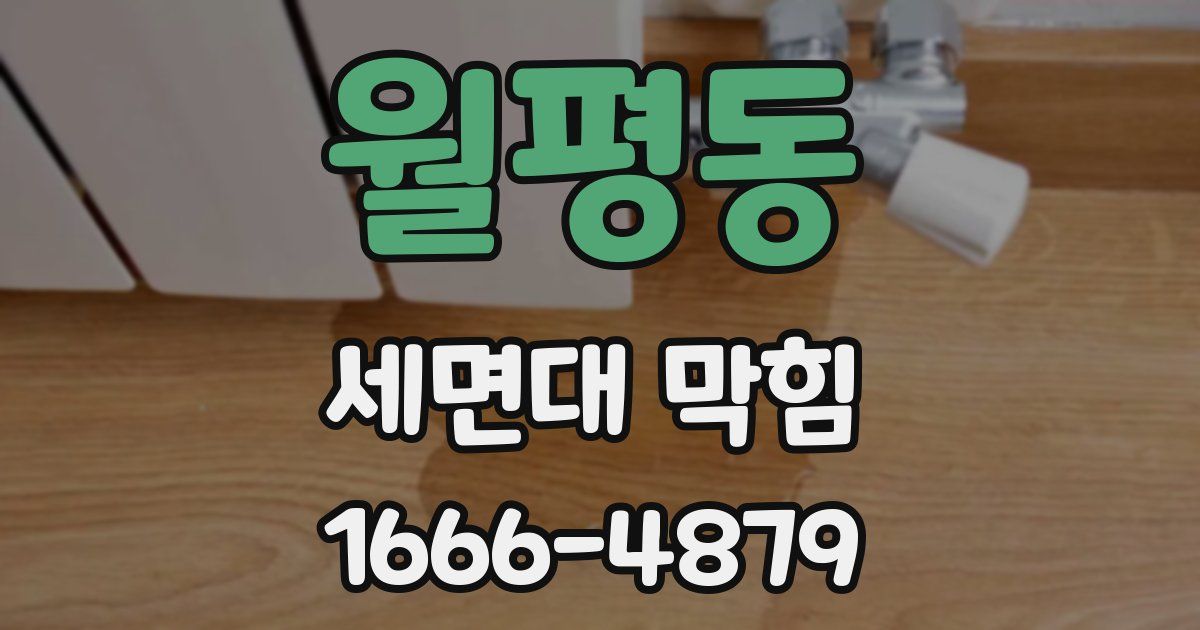 월평동 세면대 막힘