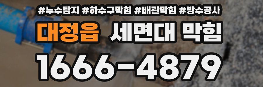 대정읍 세면대 막힘