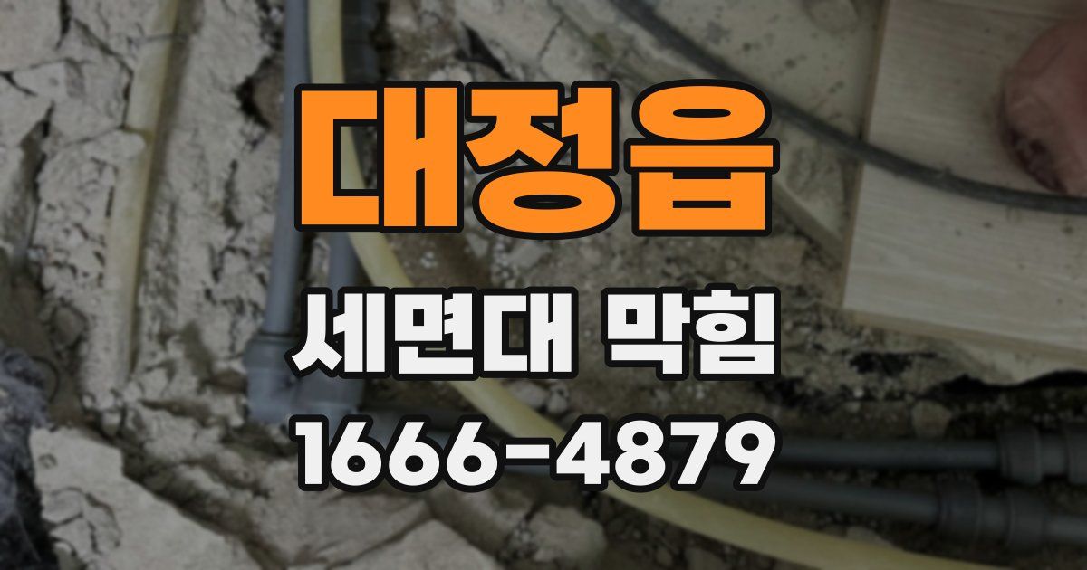 대정읍 세면대 막힘