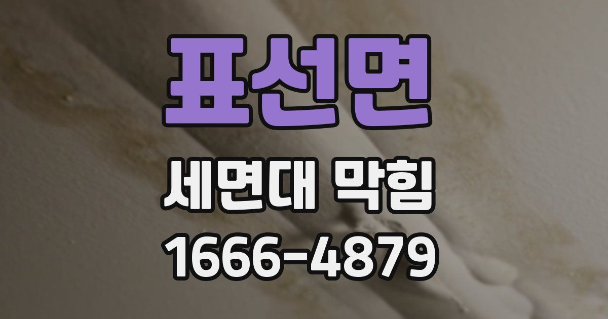 표선면 세면대 막힘
