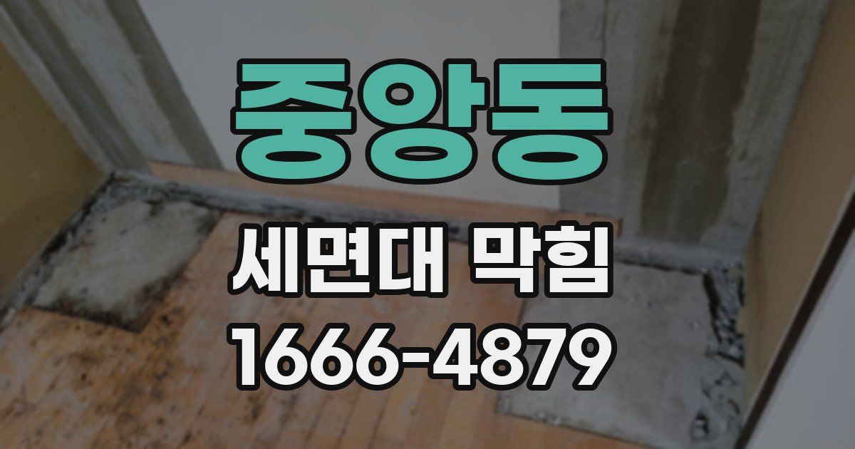 중앙동 세면대 막힘
