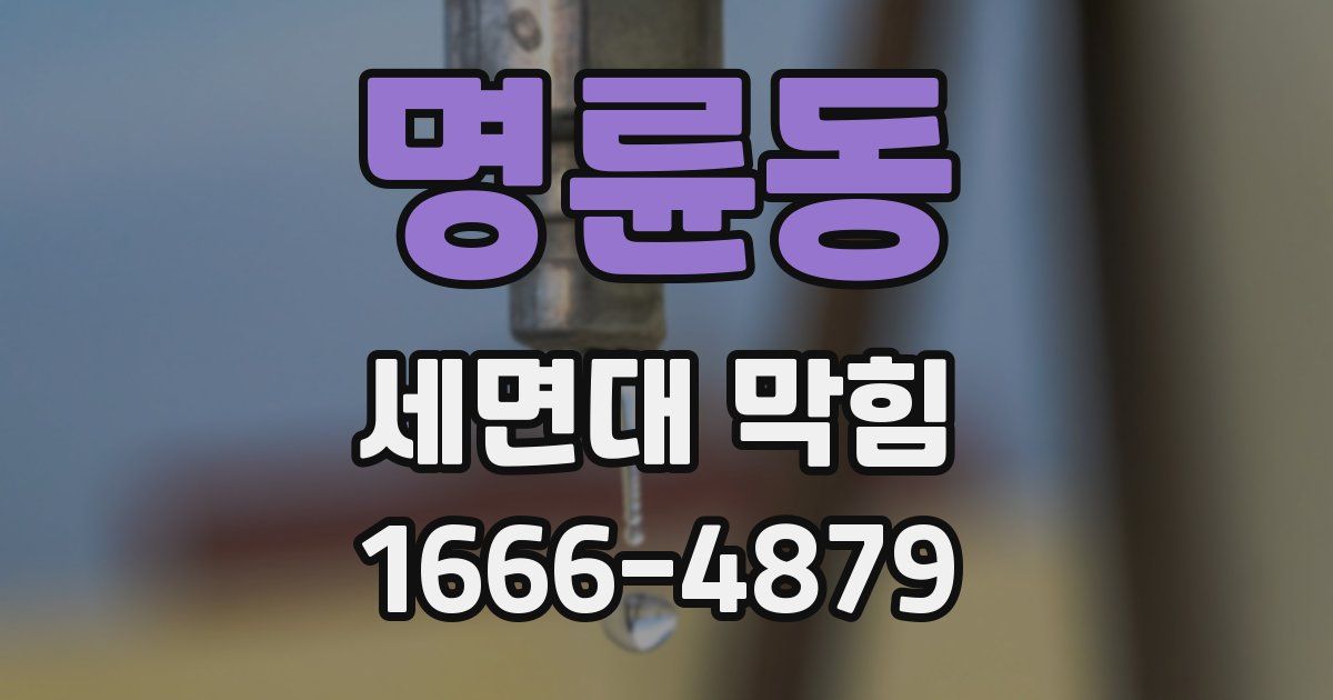 명륜동 세면대 막힘