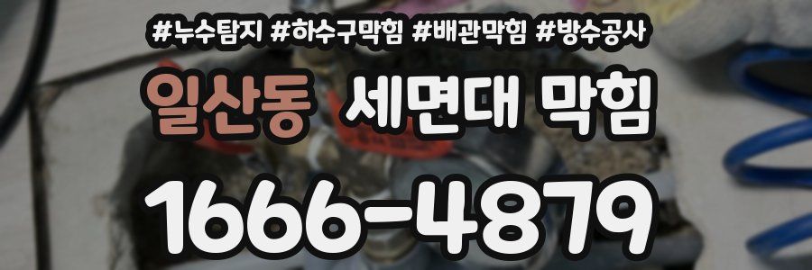 일산동 세면대 막힘