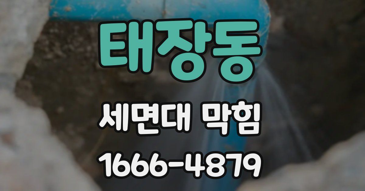 태장동 세면대 막힘