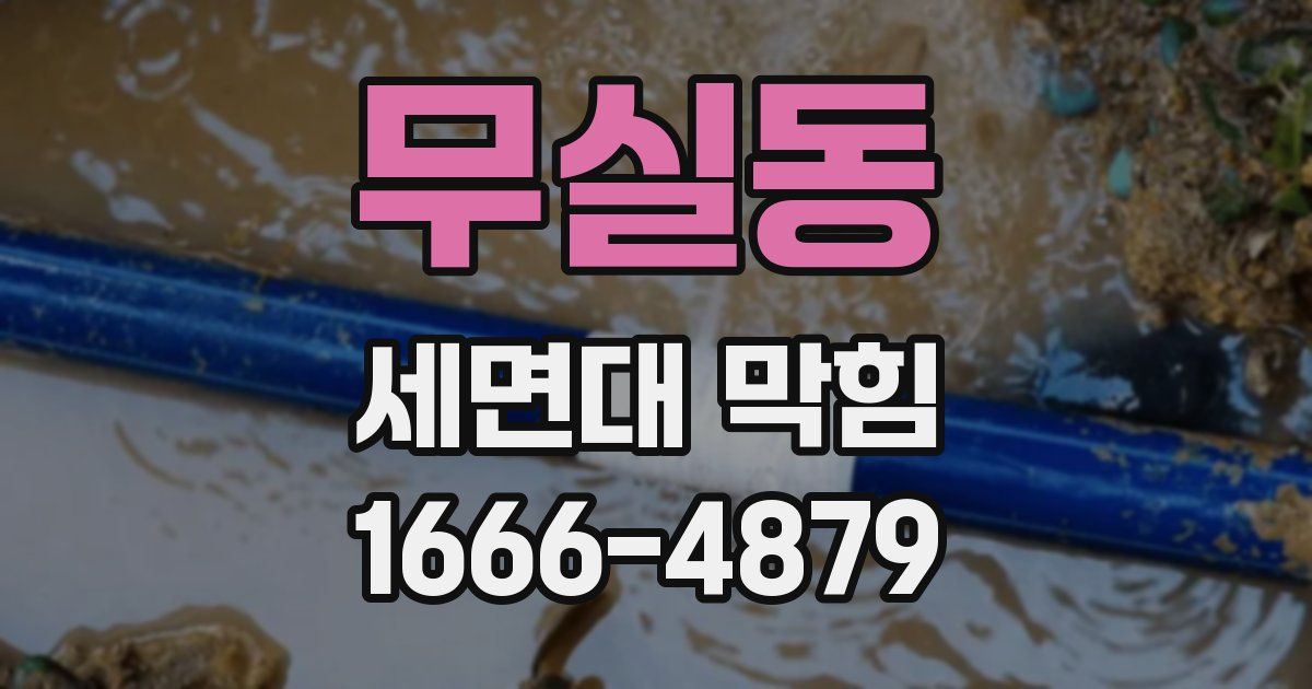 무실동 세면대 막힘