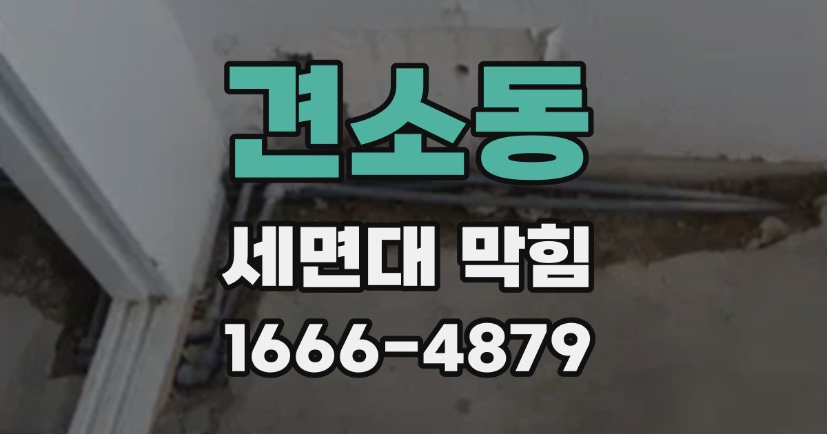 견소동 세면대 막힘