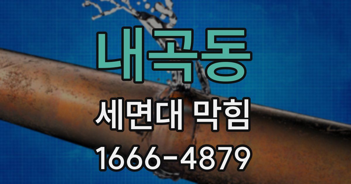 내곡동 세면대 막힘