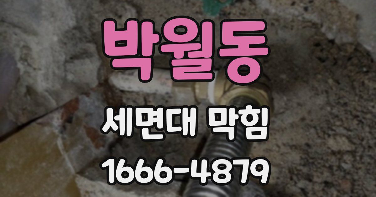 박월동 세면대 막힘