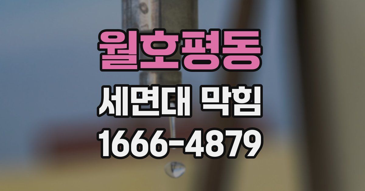 월호평동 세면대 막힘