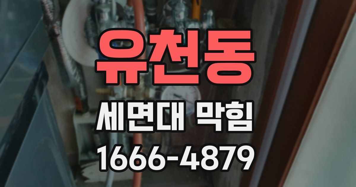 유천동 세면대 막힘