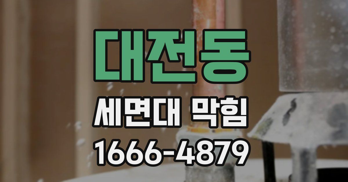 대전동 세면대 막힘