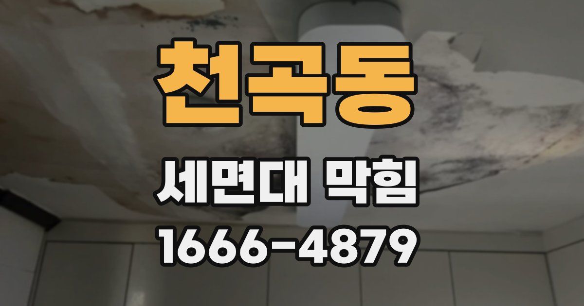 천곡동 세면대 막힘